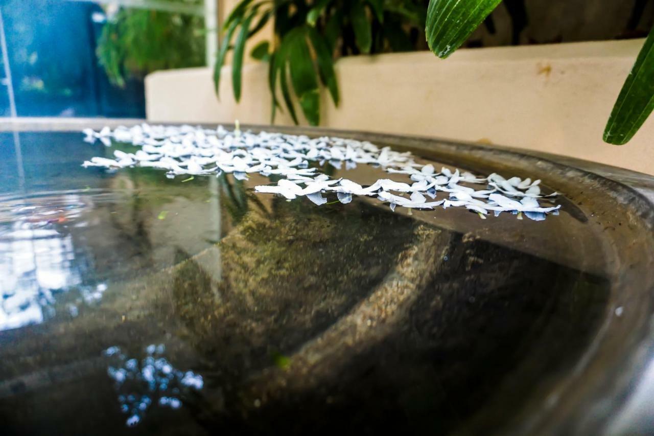 Lavendish Okrin Hotel Kataragama Exteriör bild